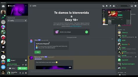 servidor hot discord|More.